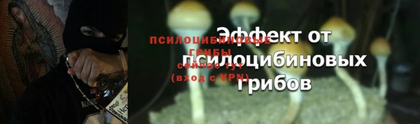 прущий лед Елизово