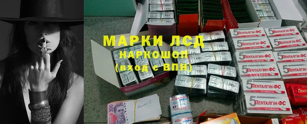 спайс Чекалин