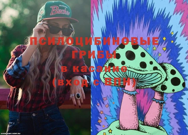 стаф Чердынь
