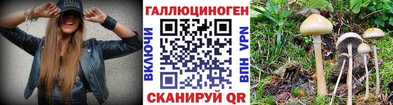 наркошоп Луза Псилоцибиновые грибы мухоморы